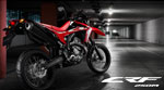 CRF250M CRF250M